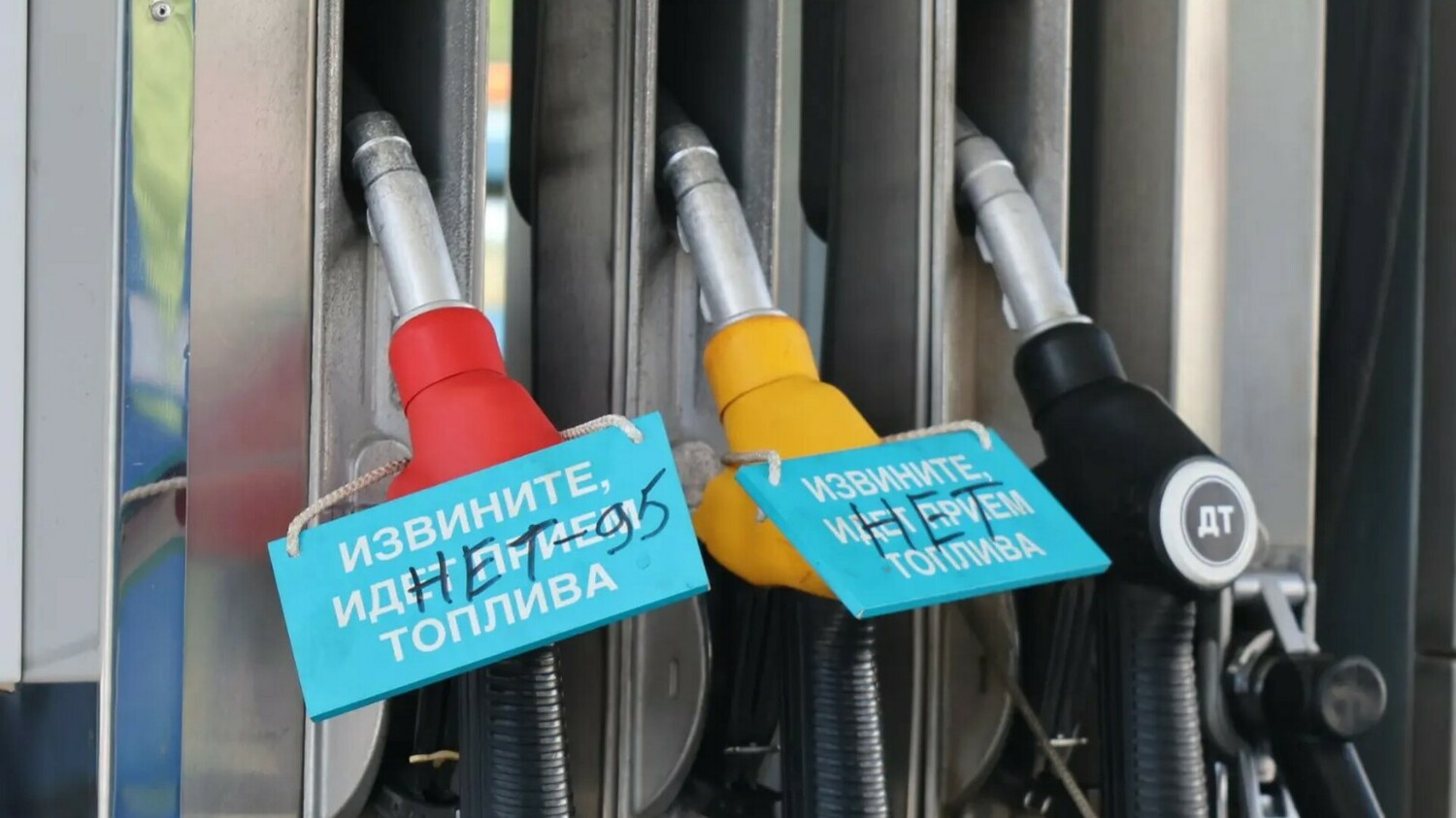 Общество 